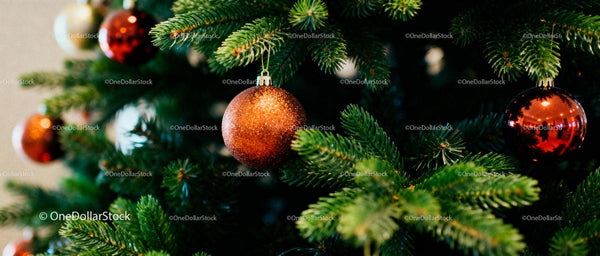 Close-up of Christmas tree with shiny orange ornaments
