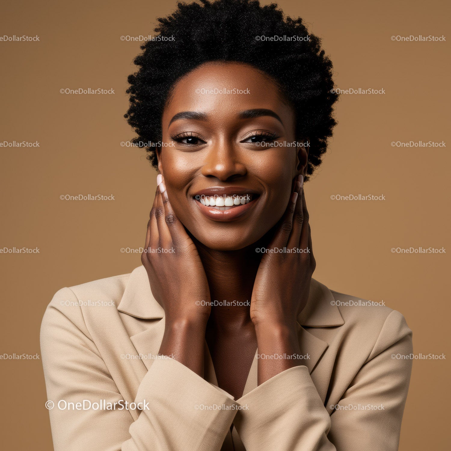 Elegant African Woman with Natural Afro Hairstyle and Bright Smile