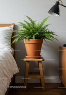 Healthy Green Fern in Terracotta Pot on Wooden Stand in Modern Bedroom