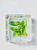Fresh green leaves frozen inside a clear ice cube