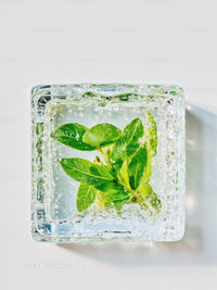 Fresh green leaves frozen inside a clear ice cube