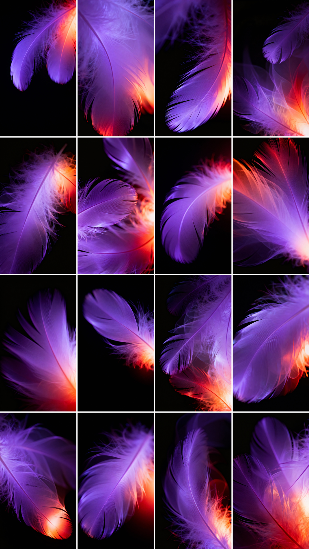Pink Quills Photo Overlays preview 5