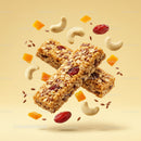 Two Nut and Seed Energy Bars with Dried Fruits
