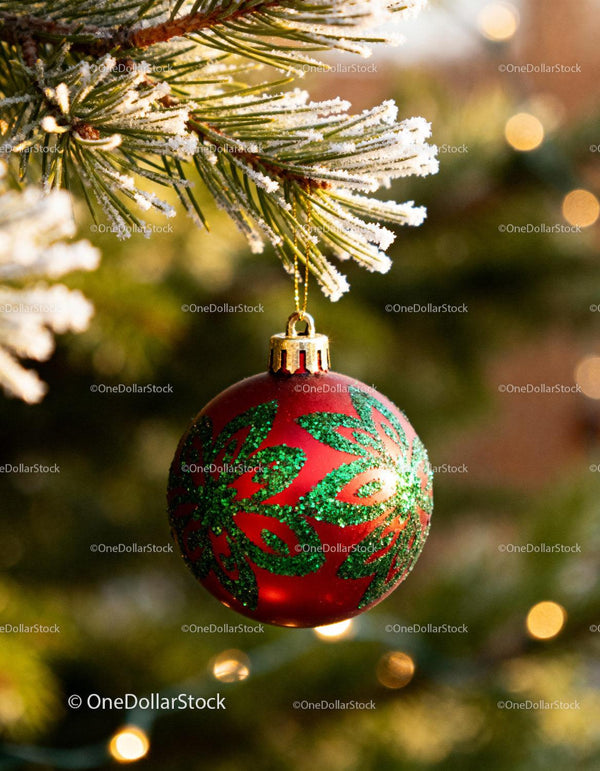 Red Christmas Ornament Hanging on Frosted Pine Branch