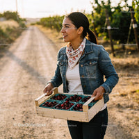 Woman Carrying Freshly Picked Cherries in Wooden Crate