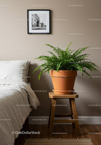 Indoor Bedroom with Potted Fern on Wooden Stool and Wall Art