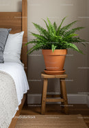 Vibrant Fern in Terracotta Pot Beside Bed in Cozy Natural Room