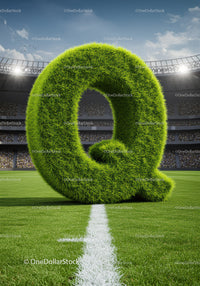 Green Grass Letter Q on Soccer Field with Stadium Crowd