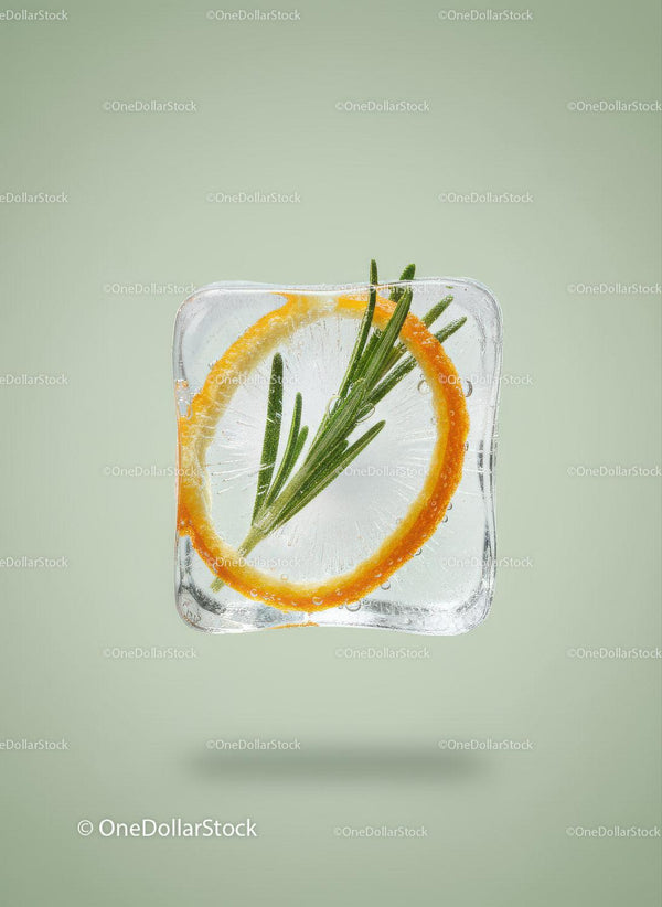 Fresh Rosemary and Orange Slice Frozen in Ice Cube