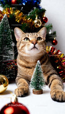 Curious tabby cat surrounded by festive Christmas decor