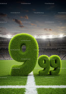 Large grassy numbers 9.99 on a sports field