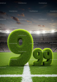 Large grassy numbers 9.99 on a sports field