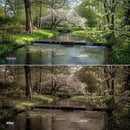 Before and after Burned Earth LUT Pack effect