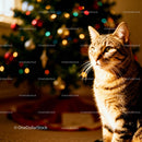 Tabby cat basking in warm light near decorated Christmas tree