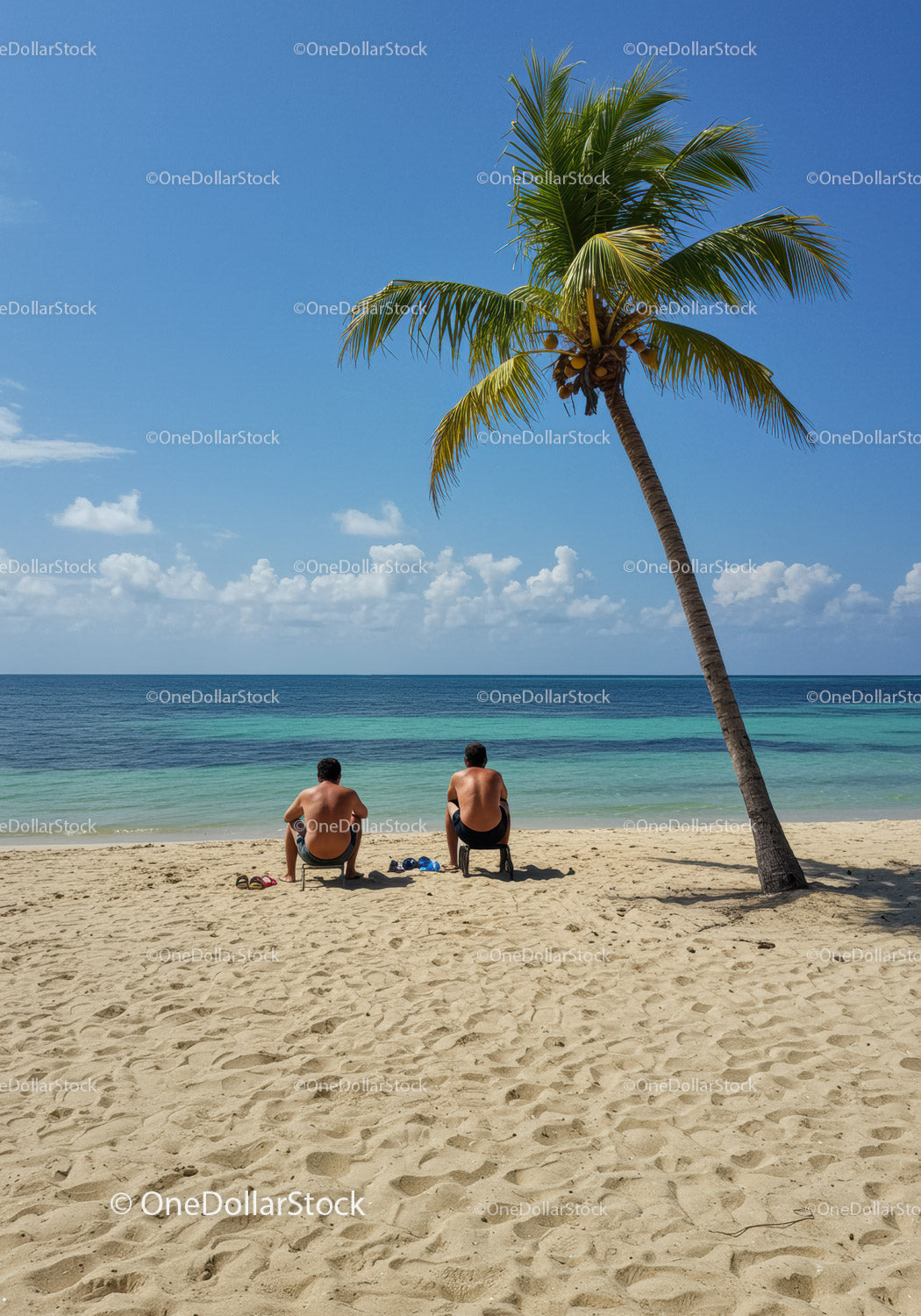 Tropical Beach with Palm Tree and Relaxing Men by the Sea