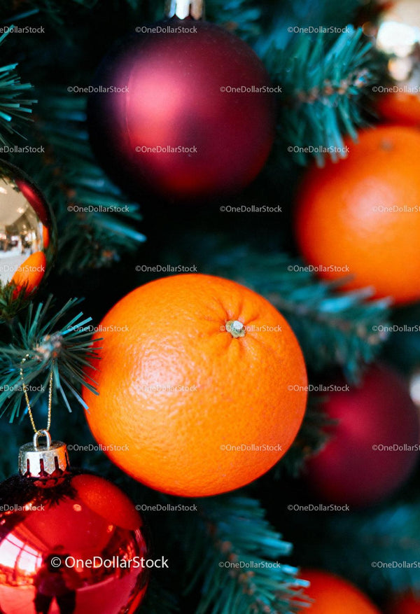 Christmas Tree Decorated with Oranges and Red Baubles