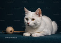 White cat resting with wooden toy on dark fabric