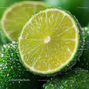 Fresh Green Lime Slice with Juicy Interior in Vibrant Close-Up