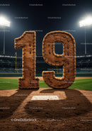 Number 19 in baseball glove style on field