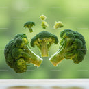 Fresh broccoli florets levitating on soft green background