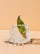 Green Leaf Frozen Inside Clear Ice Cube on Warm Background