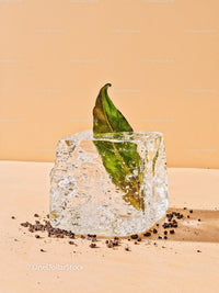 Green Leaf Frozen Inside Clear Ice Cube on Warm Background