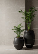 Stylish Indoor Green Palm Plants in Black Ceramic Vases for Modern Decor