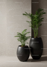 Stylish Indoor Green Palm Plants in Black Ceramic Vases for Modern Decor
