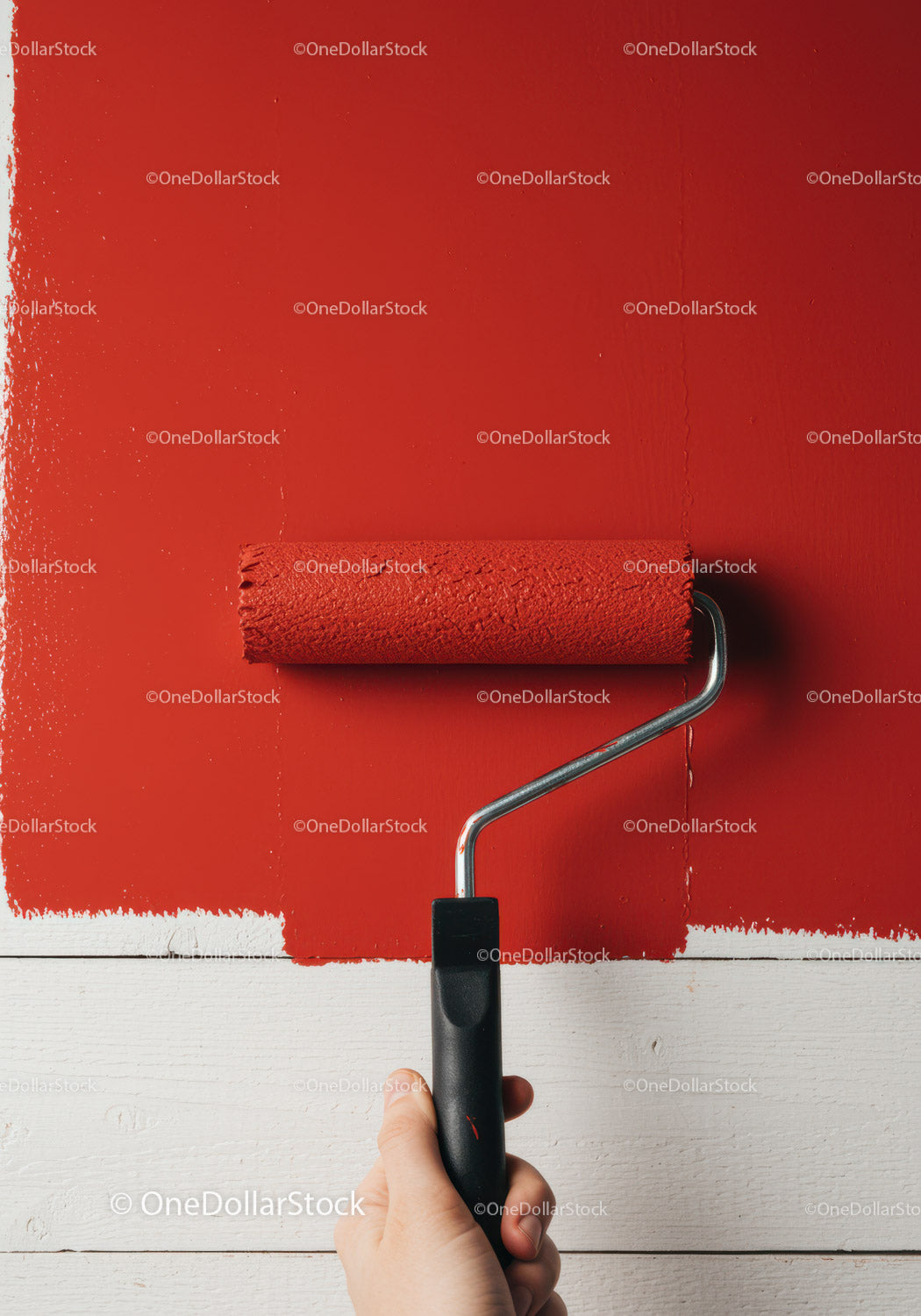 Red Wall Painting with Roller for Home Renovation and Decor