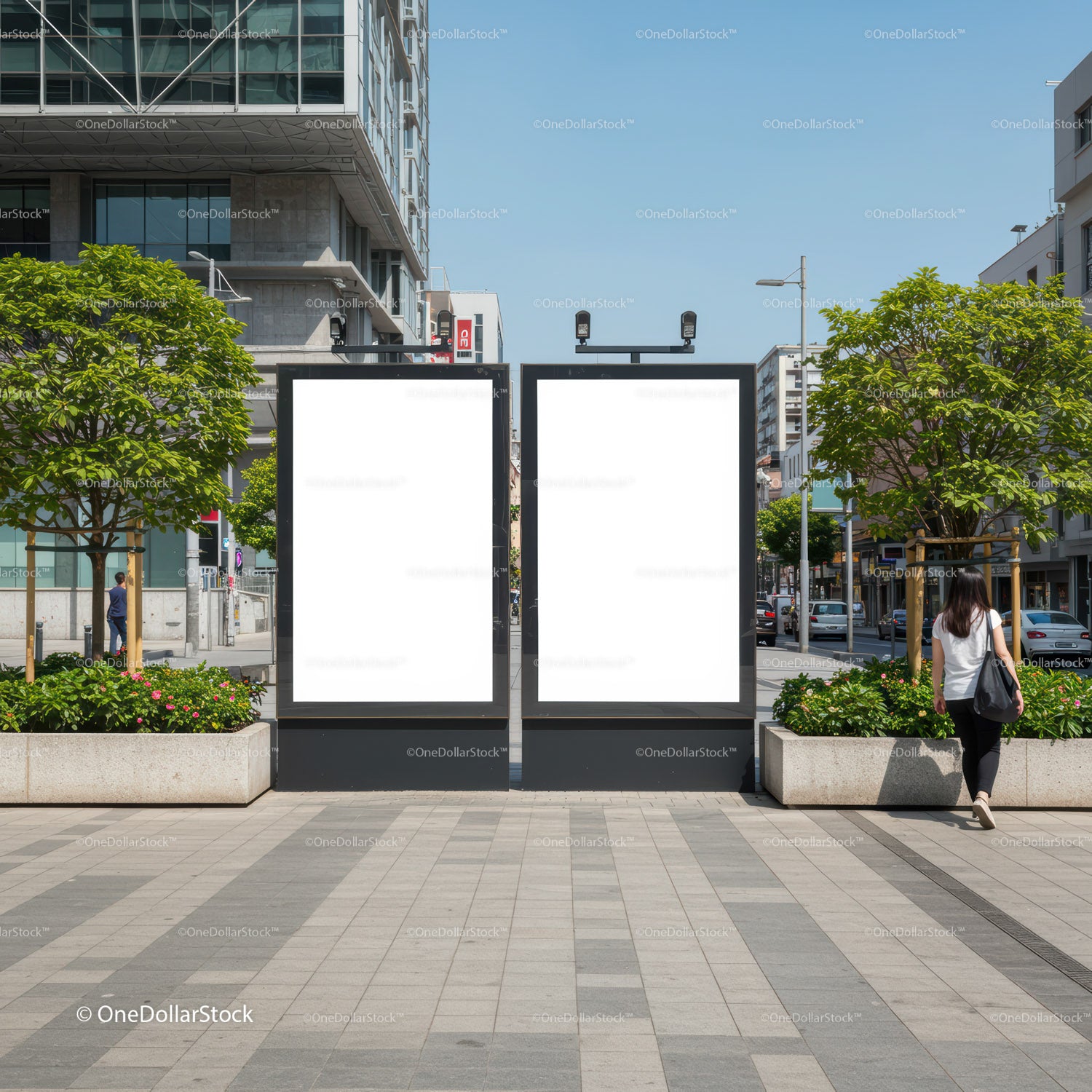 Empty city billboard posters on sunny urban street