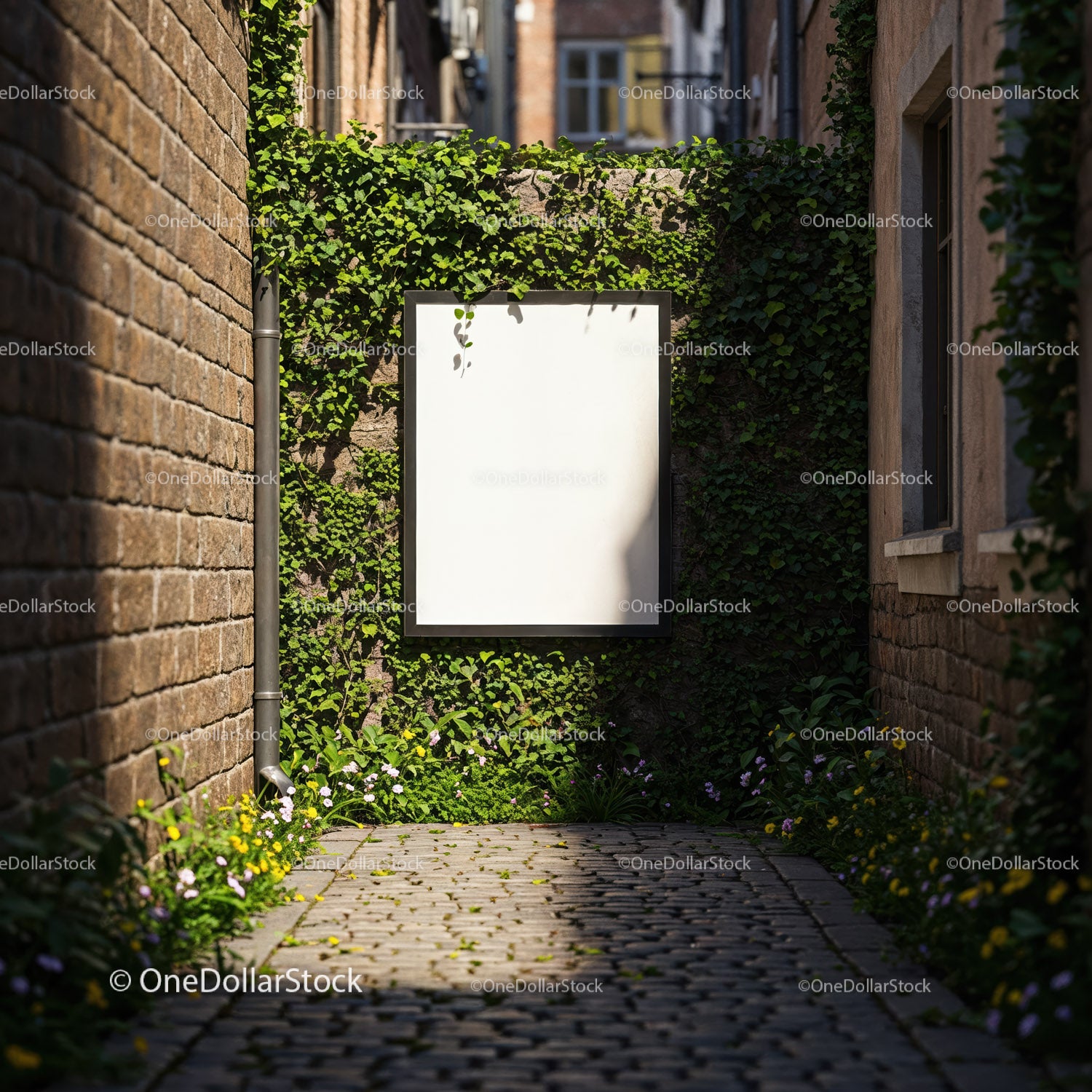Empty Vertical Billboard on Ivy Covered Wall in Alley