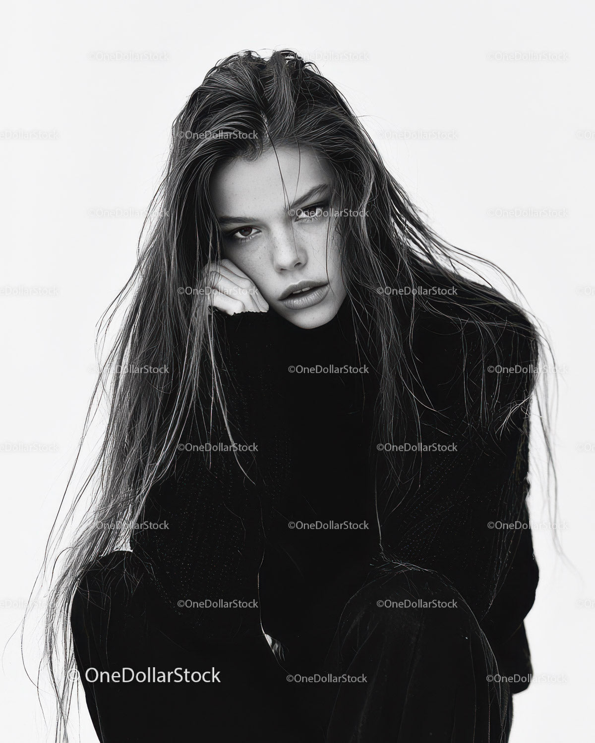 Elegant Black and White Portrait of a Fashion Model with Long Wet Hair