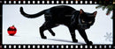 Black Cat Walking Near Christmas Ornament and Pine Branch