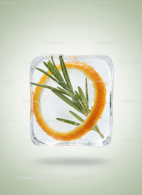 Fresh Orange Slice with Rosemary Frozen in Ice Cube