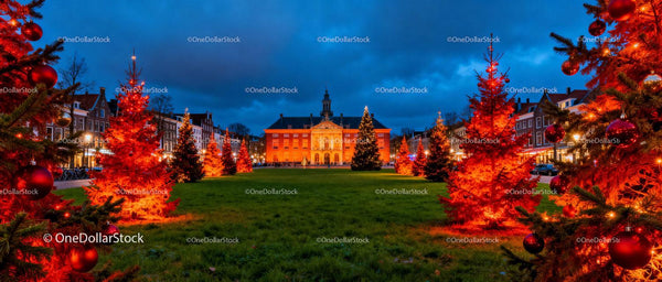 Festive Christmas Trees Illuminating Historic Town Square