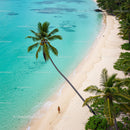 Lonely Traveler on a Tropical Beach Under a Palm Tree