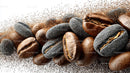 Flying Coffee Beans in Motion on a Dark Background