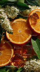 Fresh Orange Slices with Ice Cubes for Refreshing Summer Drink