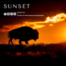 Sunset LUT Pack preview