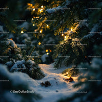 Snowy pine branches with warm glowing Christmas lights
