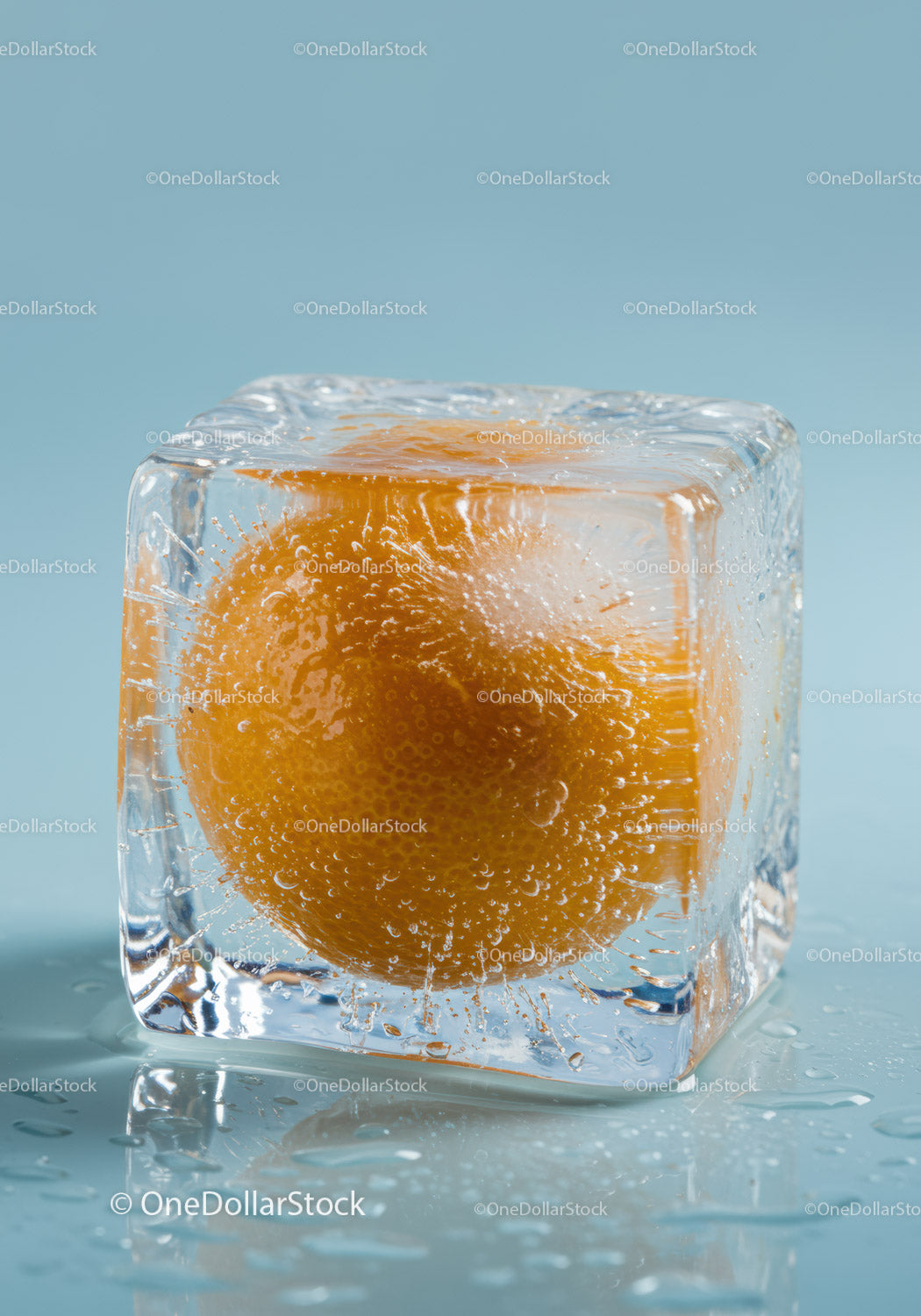 Orange Fruit Frozen Inside a Clear Ice Cube