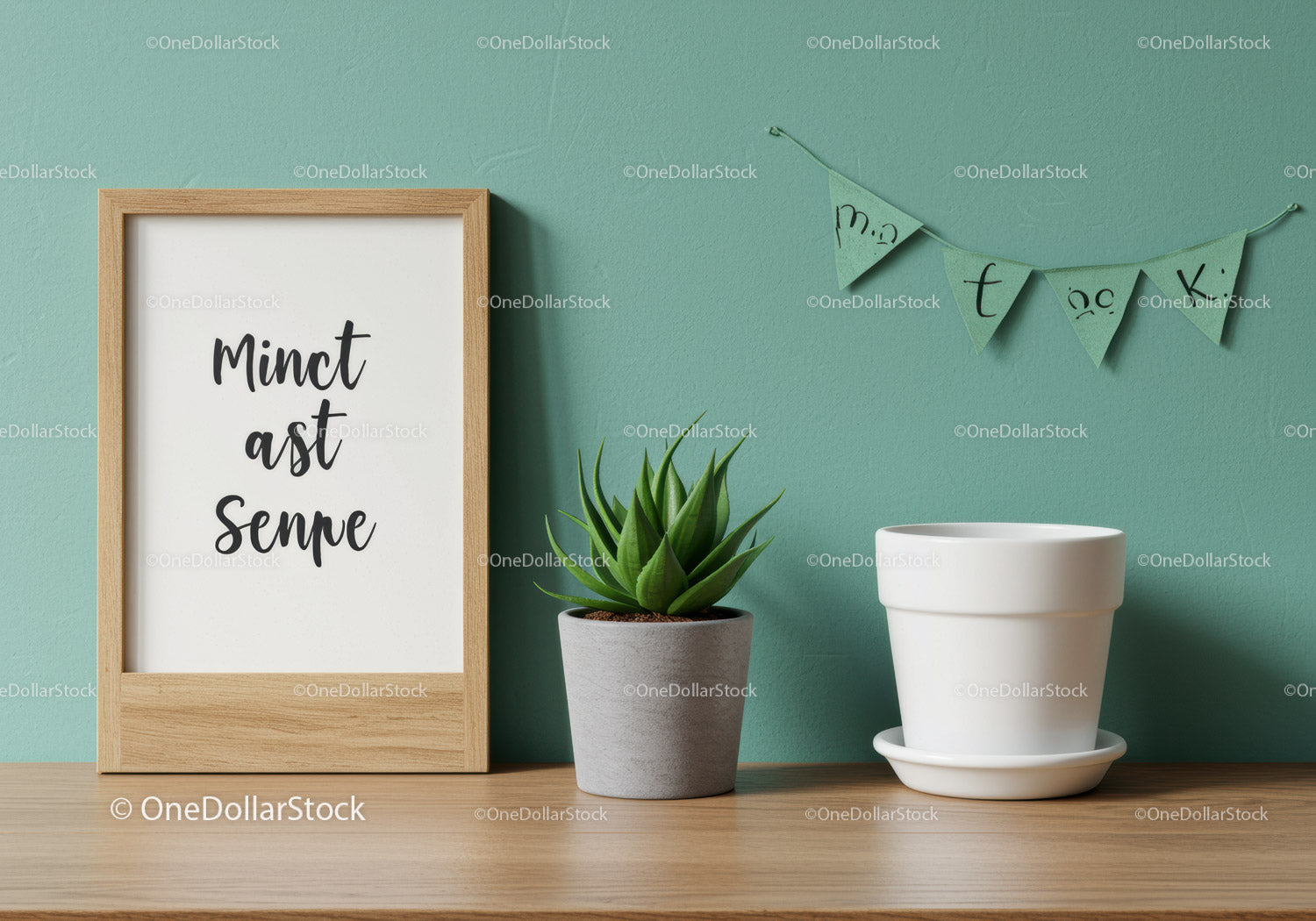 Green Succulent Plant with Wooden Frame and Decorative Banner in Modern Interior