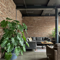 Modern Living Room with Exposed Brick Wall and Lush Green Monstera