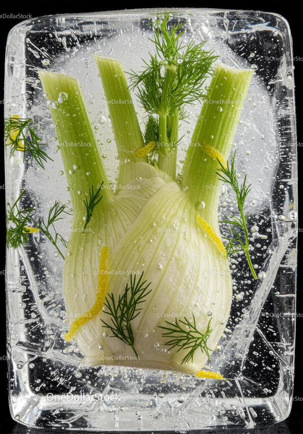 Fresh fennel and lemon zest in sparkling ice cube