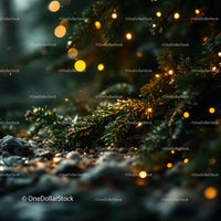 Close-up of Evergreen Branch with Warm Festive Lights