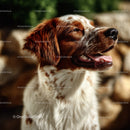 Cute Springer Spaniel Puppy Smiling Outdoors with Happy Expression