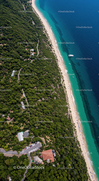 Lush Green Forest Leading to Crystal Clear Beach and Turquoise Sea