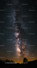 Stunning Milky Way over Silhouetted Trees at Night
