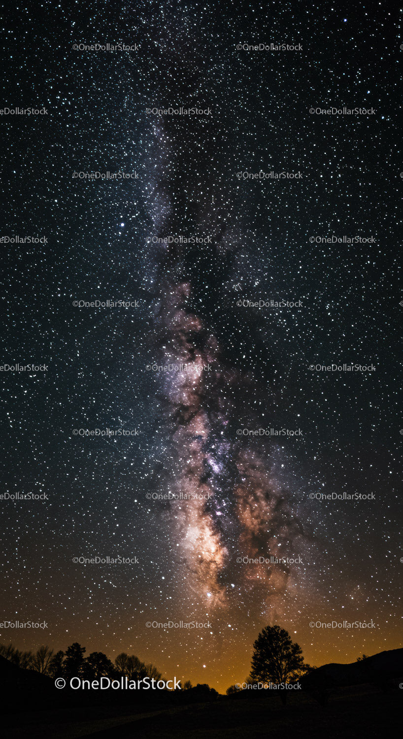 Stunning Milky Way over Silhouetted Trees at Night