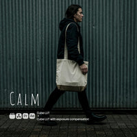 Calm LUT Pack preview